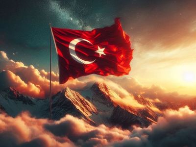 Bir Şey Yapmalı...