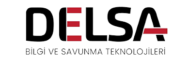 DELSA Logo